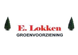 Lokken Groenvoorziening